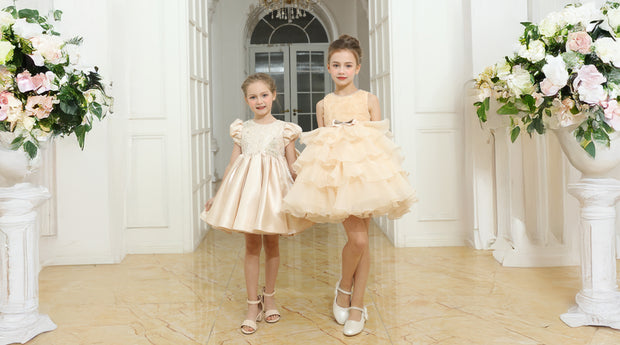 <h3>New Collection</h3>