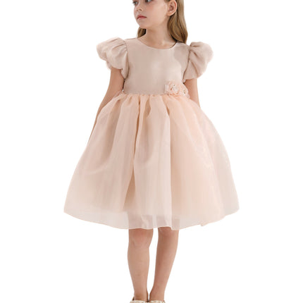 Champagne D'Amico Floral Teacup Dress