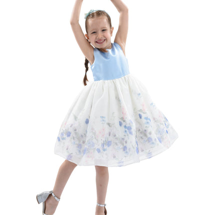 Blue Mabel Floral Garden Organza Dress