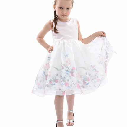 Pink Mabel Floral Garden Organza Dress