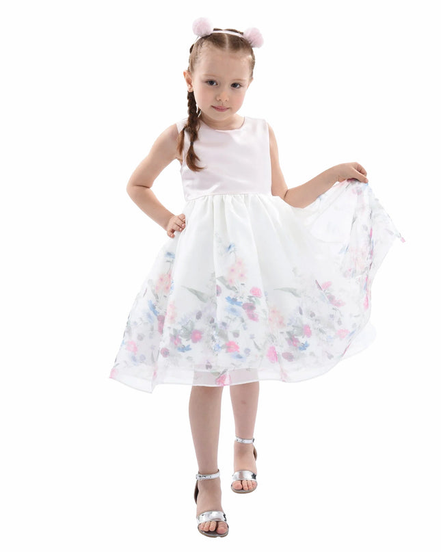 Pink Mabel Floral Garden Organza Dress