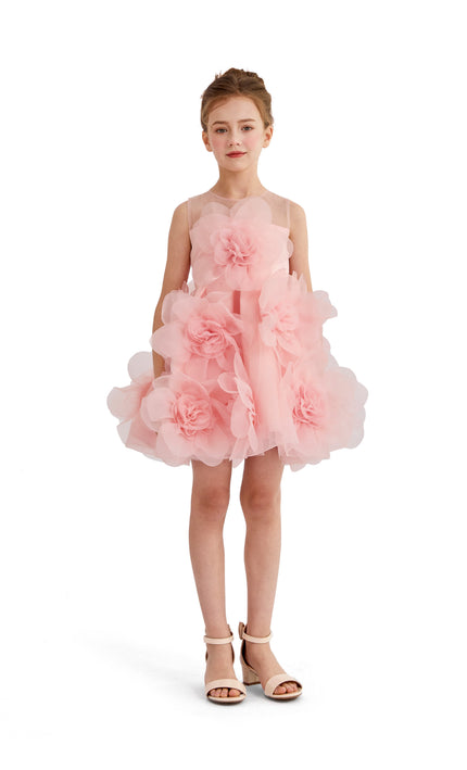 kids atelier tulleen Rose Briellea Embellished Sleeveless Dress
