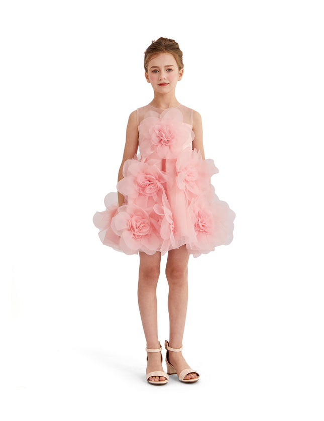 kids atelier tulleen Rose Briellea Embellished Sleeveless Dress
