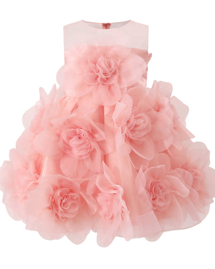 kids atelier tulleen Rose Briellea Embellished Sleeveless Dress