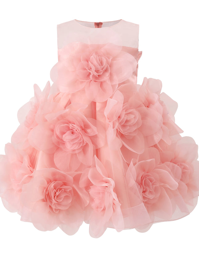 kids atelier tulleen Rose Briellea Embellished Sleeveless Dress