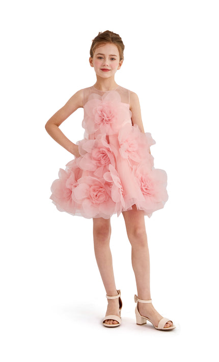 kids atelier tulleen Rose Briellea Embellished Sleeveless Dress