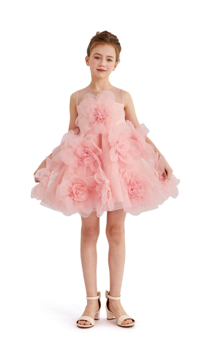 kids atelier tulleen Rose Briellea Embellished Sleeveless Dress