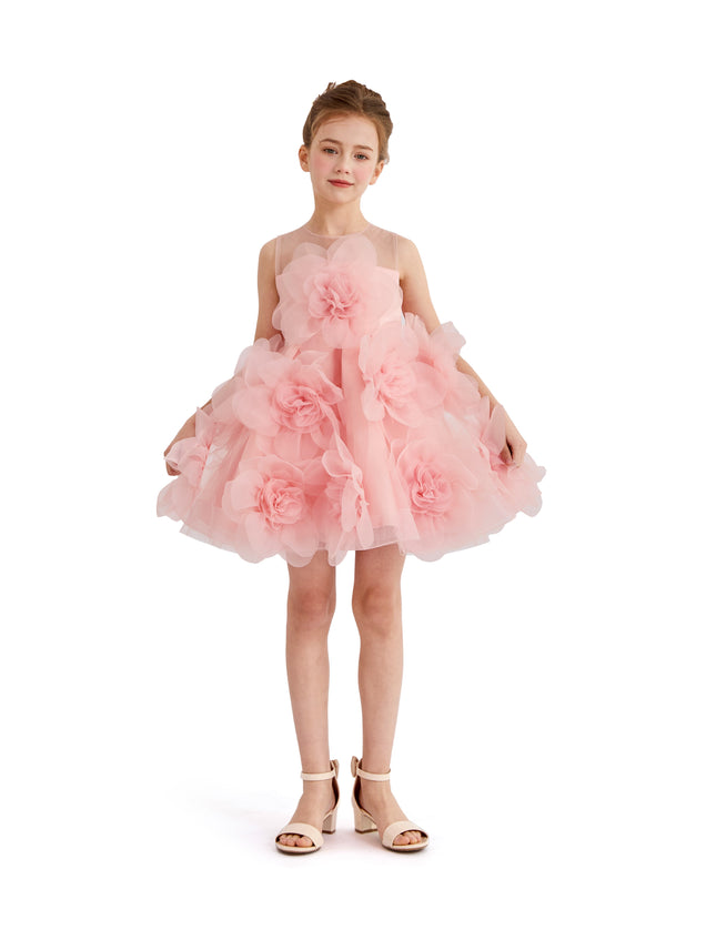 kids atelier tulleen Rose Briellea Embellished Sleeveless Dress