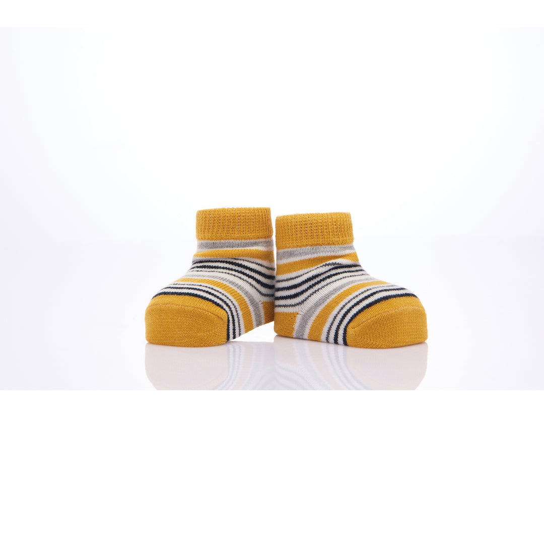 kids-atelier-banblu-gender-neutral-unisex-baby-boy-girl-yellow-3pc-koala-print-cotton-socks-set-15-01-0084